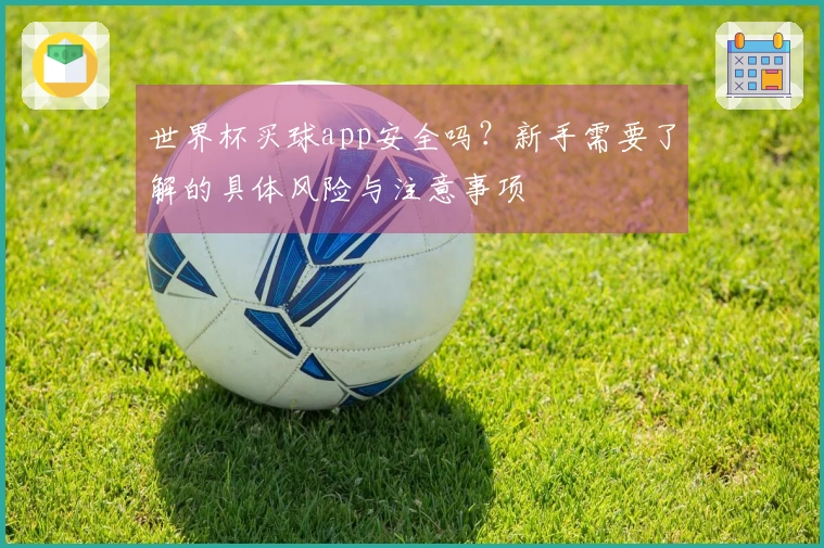 世界杯买球app安全吗？新手需要了解的具体风险与注意事项